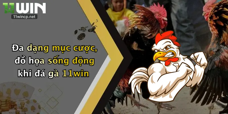 Đa dạng mục cược, đồ họa sống động khi đá gà 11win