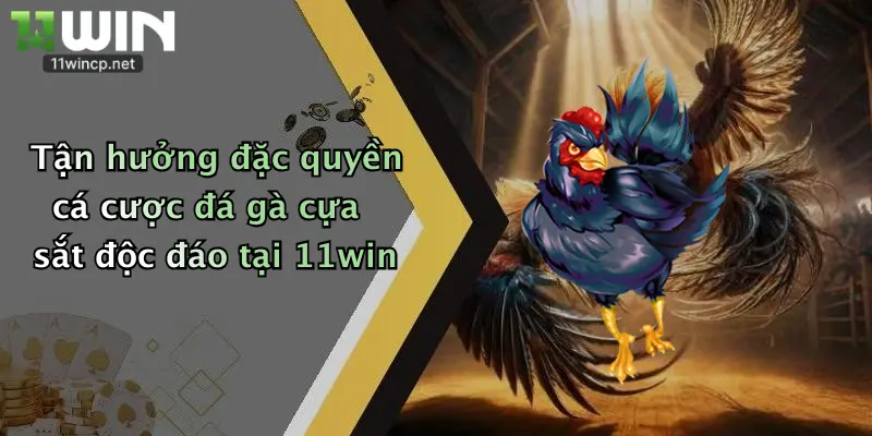 Tận hưởng đặc quyền cá cược đá gà cựa sắt độc đáo tại 11win